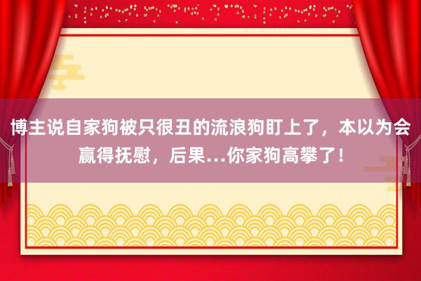 博主说自家狗被只很丑的流浪狗盯上了，本以为会赢得抚慰，后果…你家狗高攀了！